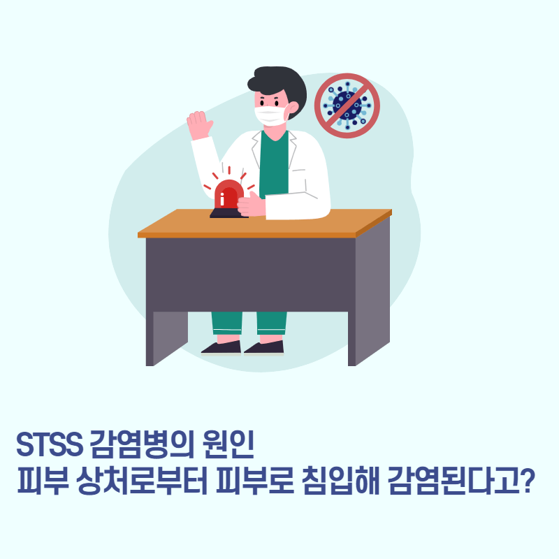 증상 없는 STSS 전염병 지금 일본 여행 가능? 감염병 30%가 사망! 젊을 수록 치명?